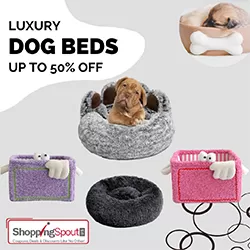 Save Up to 50% on Luxurious Dog Bed